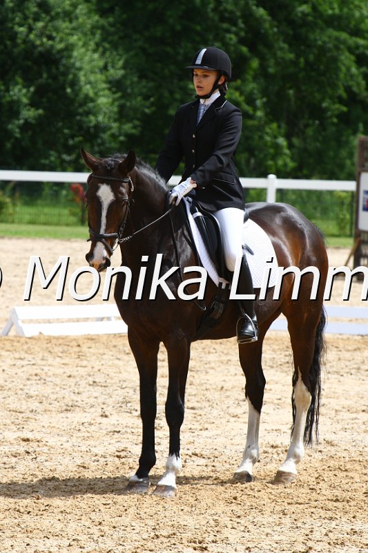 006M4655_Dressur L.JPG